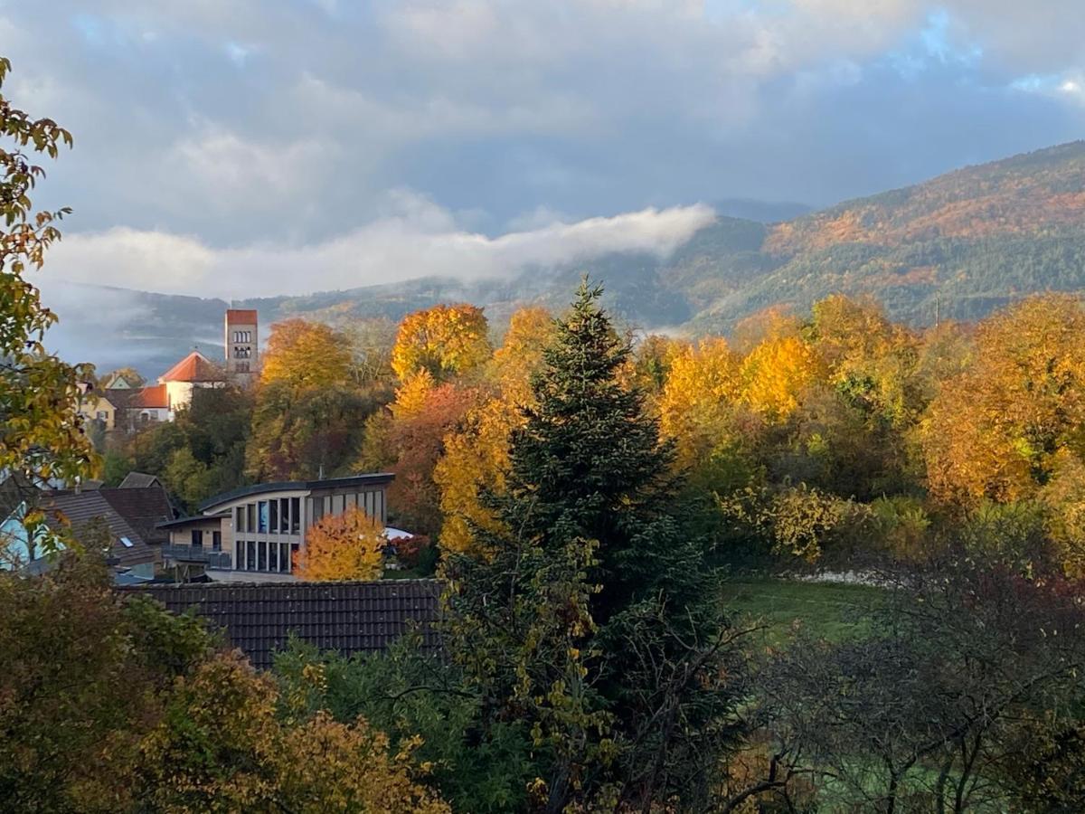 Le Moonloft insolite Tiny-House dans les arbres&1 séance de sauna pour 2 avec vue panoramique Osenbach Exterior foto