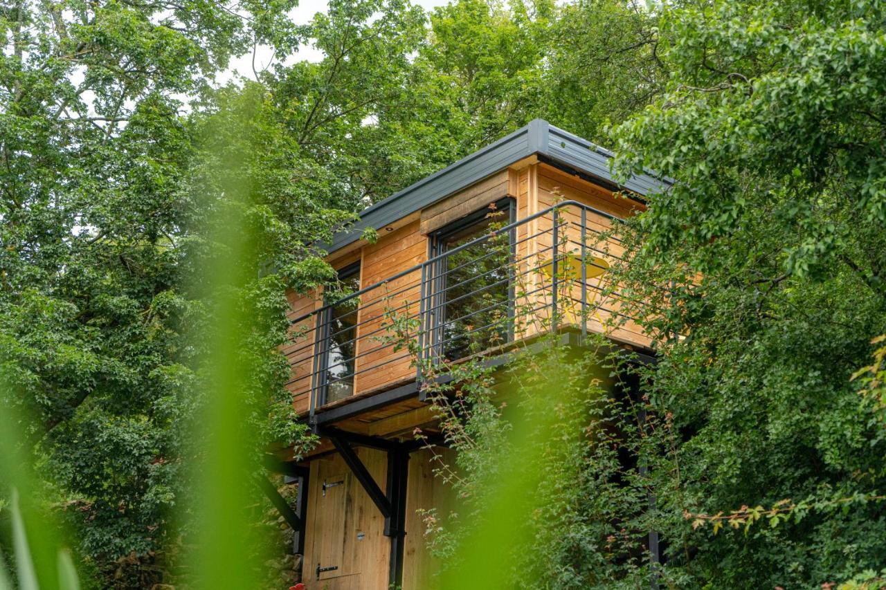 Le Moonloft insolite Tiny-House dans les arbres&1 séance de sauna pour 2 avec vue panoramique Osenbach Exterior foto