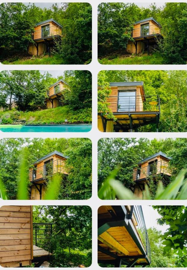 Le Moonloft insolite Tiny-House dans les arbres&1 séance de sauna pour 2 avec vue panoramique Osenbach Exterior foto